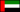 U.A.E flag